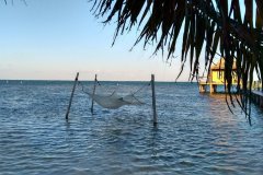 belize-betex-may-2017-560_orig